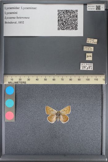 Media type: image;   Entomology 192797